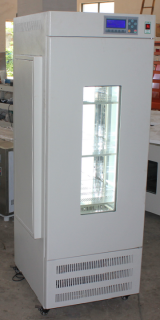 GPX-250A智能光照培养箱